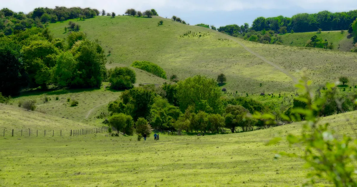 Downtown Minor Hill, TN, TN