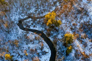 Downtown Mission Creek, MN, MN