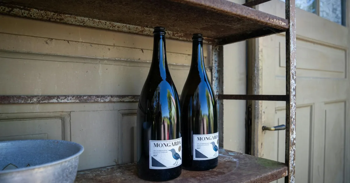 Downtown Mogul, NV, NV