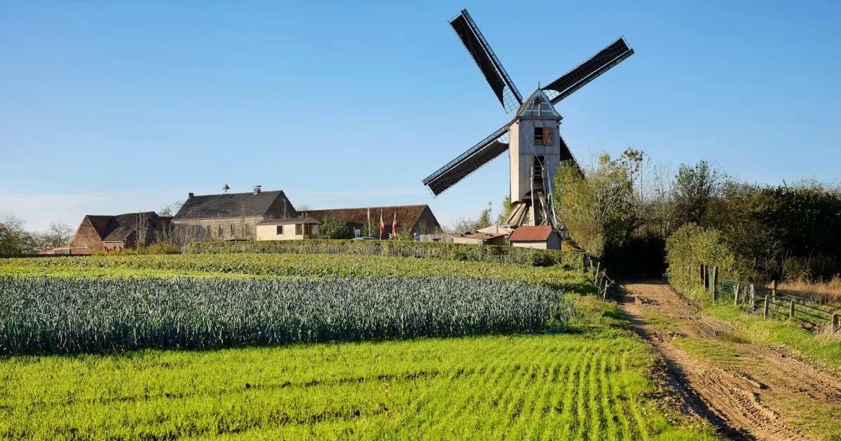 Downtown Moores Mill, AL, AL