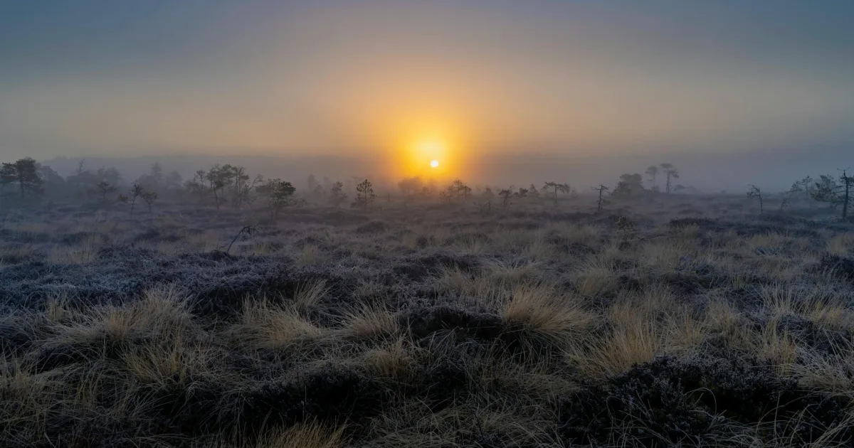 Downtown Moorland, MI, MI