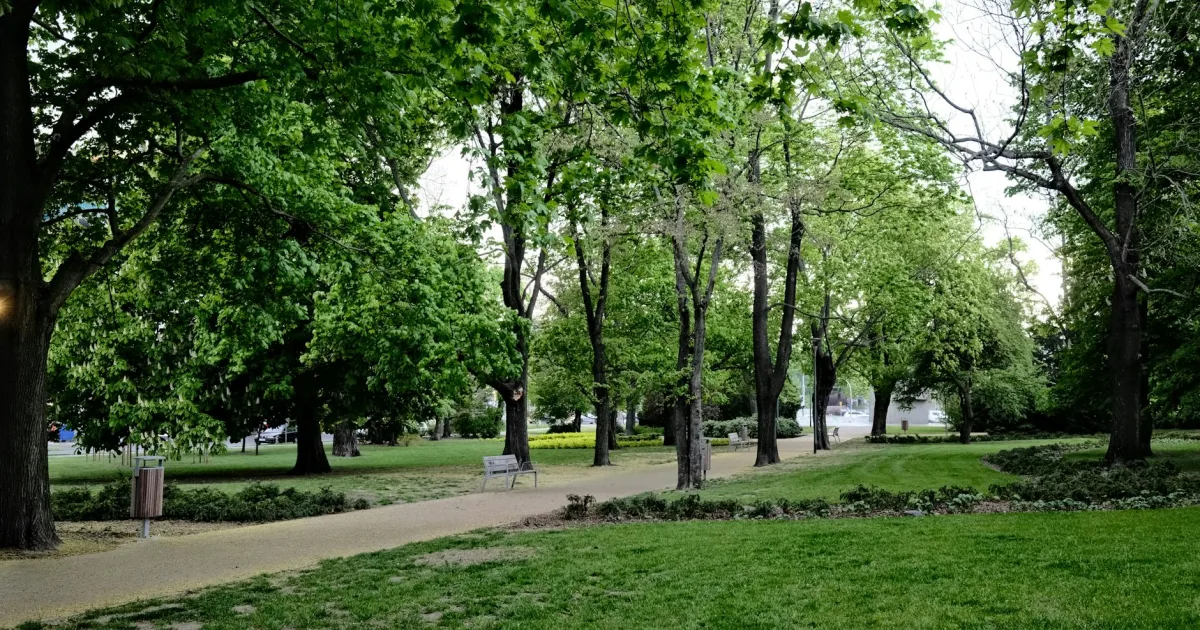 Downtown Morgan Park, IL, IL