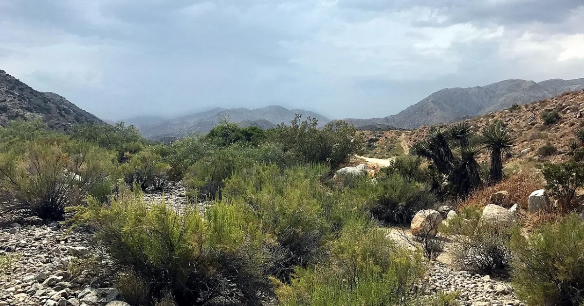 census designated place in San Bernardino County, California, United States