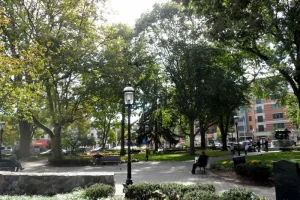 town in Morris County, New Jersey, United States