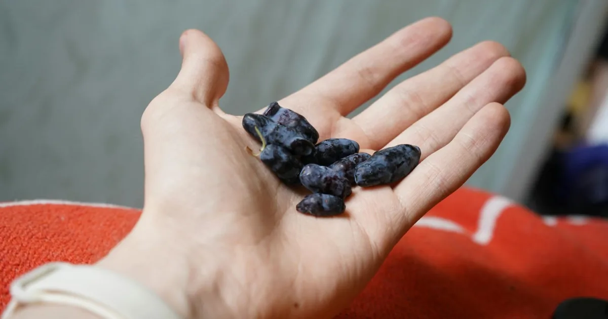 Downtown Mosinee, WI, WI