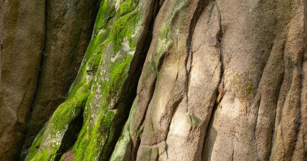 Downtown Mossyrock, WA, WA