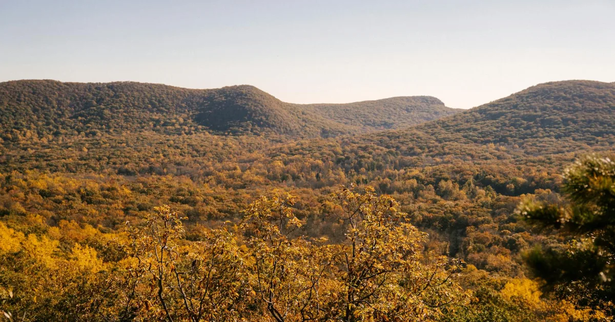 Downtown Mount Pocono, PA, PA