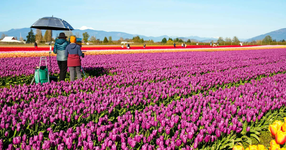 Downtown Mount Vernon, IN, IN