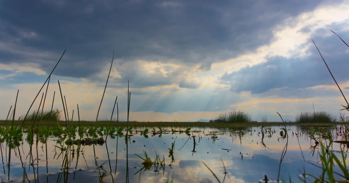 Downtown Mud Lake, ID, ID