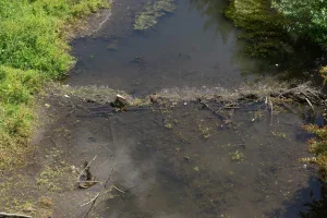 Downtown Muddy Creek, PA, PA