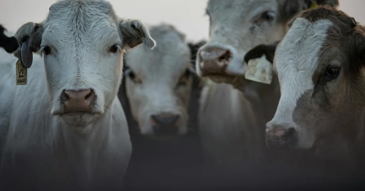 Downtown Murray, UT, UT