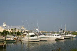 town in Georgetown County and Horry County, South Carolina, United States