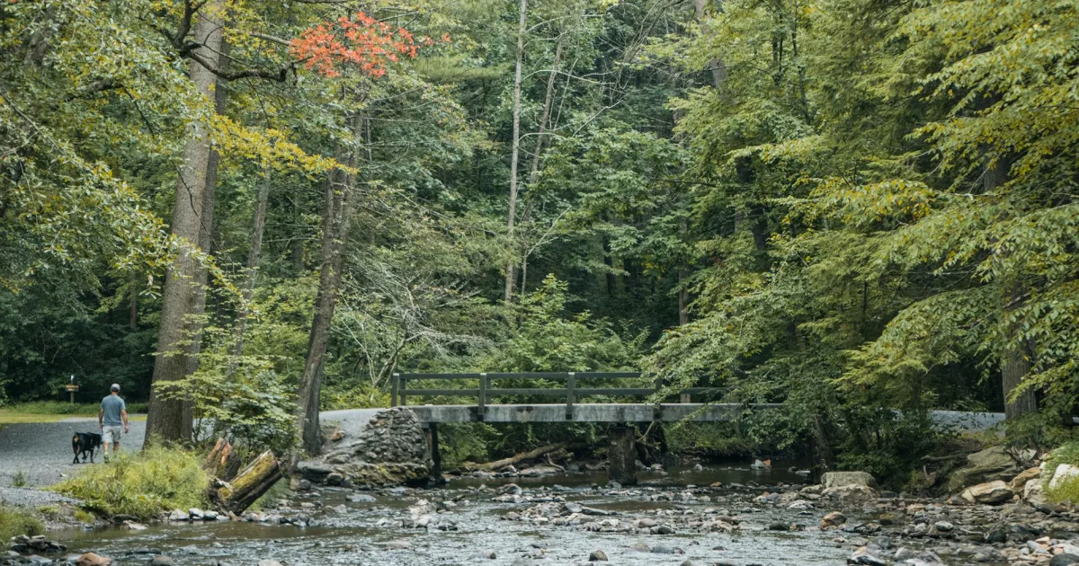 Downtown Neshannock, PA, PA