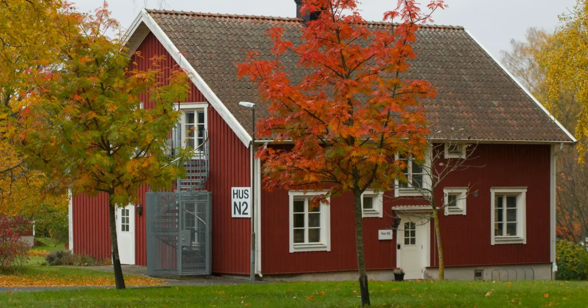 Downtown Nettleton, MS, MS