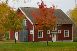 Downtown Nettleton, MS, MS