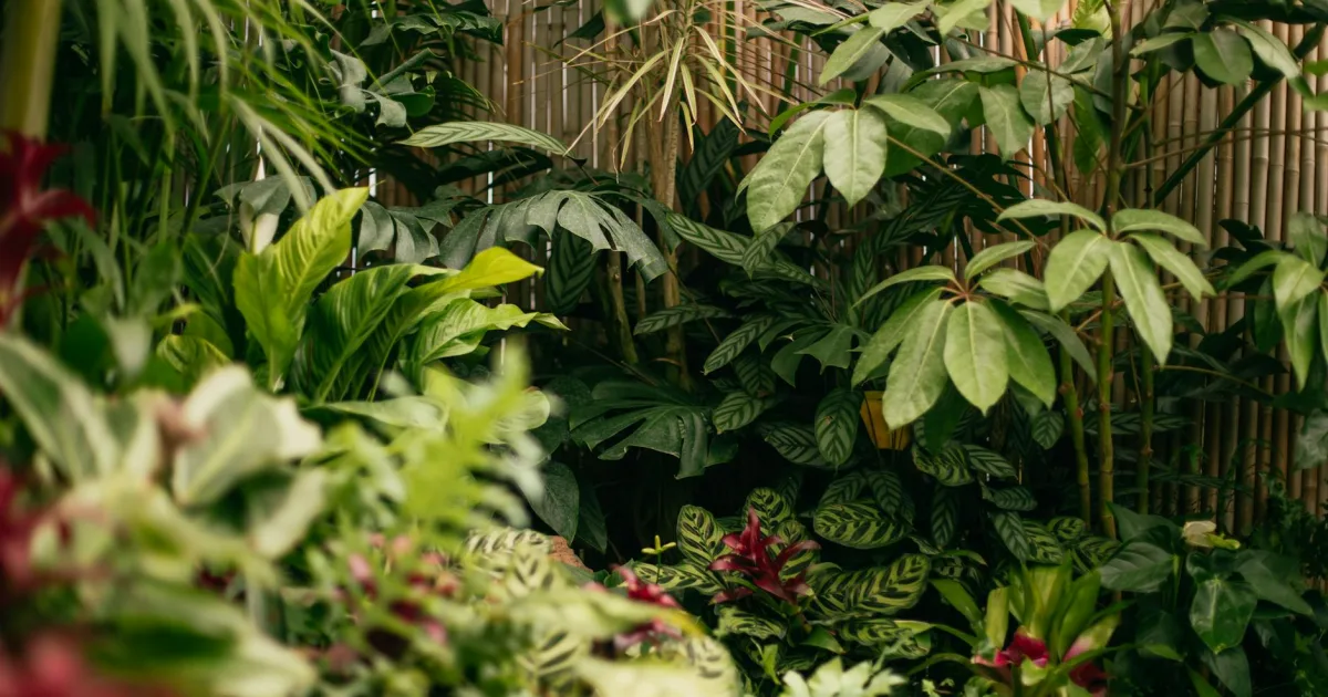 Downtown New Garden, PA, PA