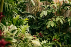 Downtown New Garden, PA, PA