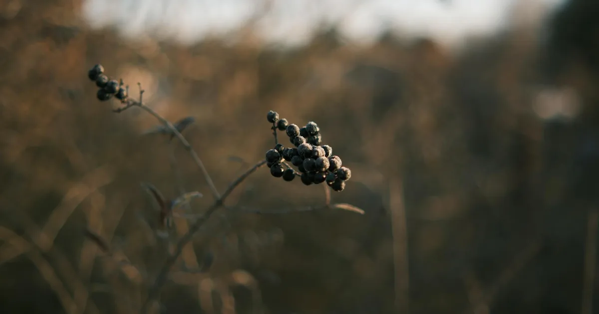 Downtown Newberry, IN, IN