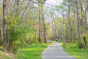 Downtown North Bel Air, MD, MD