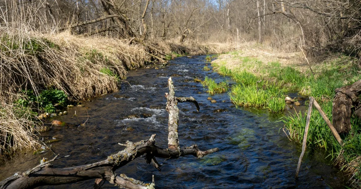 Downtown North Branch, MI, MI