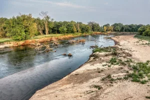 Downtown North Peoria, IL, IL