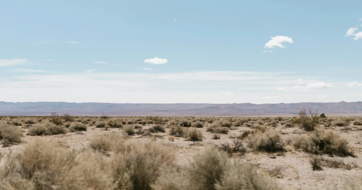 Downtown North Valley, NM, NM