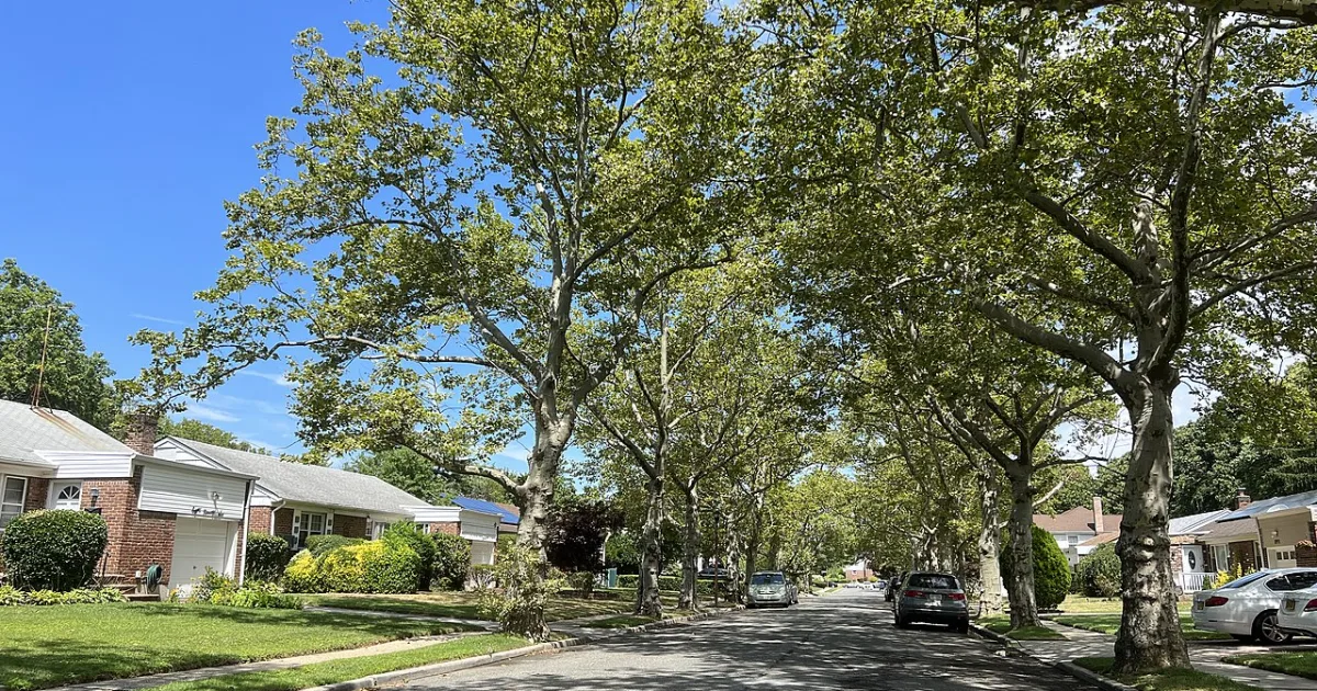 census-designated place in Nassau County, New York, United States