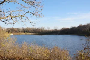 Downtown Northlake, IL, IL