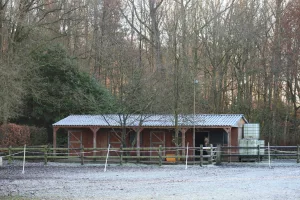 Downtown Northwood, OH, OH