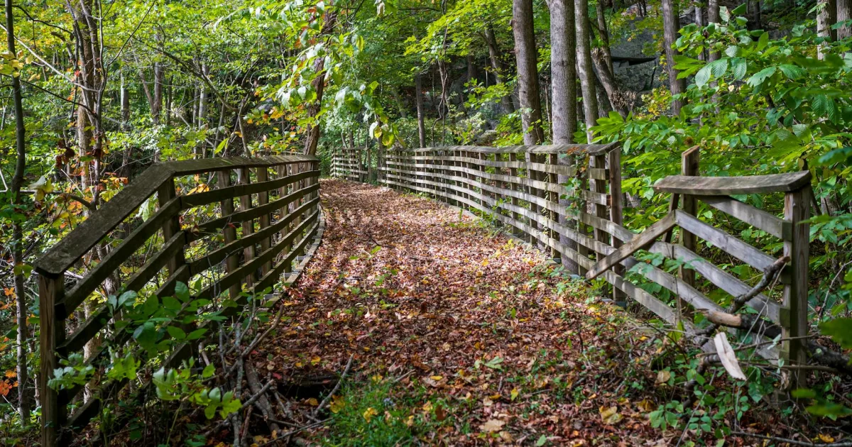 Downtown Nutter Fort, WV, WV