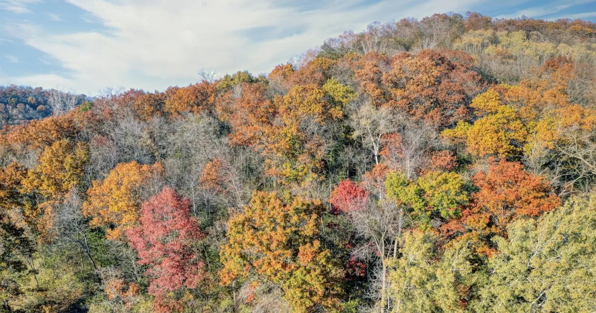 Downtown Oak Hill, WV, WV