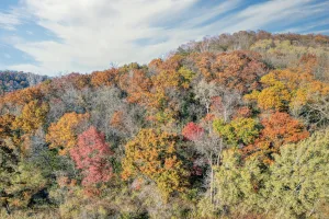 Downtown Oak Hill, WV, WV