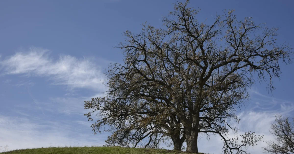 Downtown Oak Hill, OH, OH