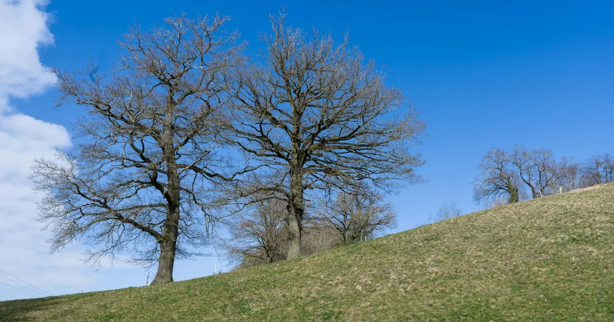 Downtown Oak Hills, PA, PA