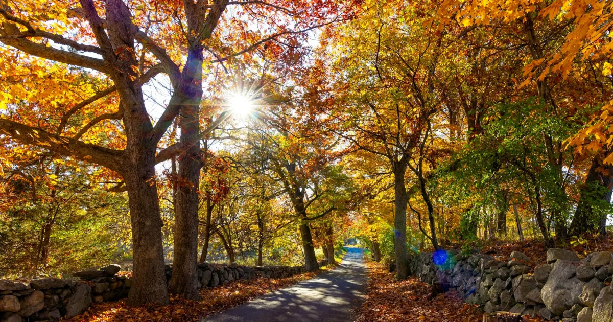 Downtown Oak Valley, NJ, NJ