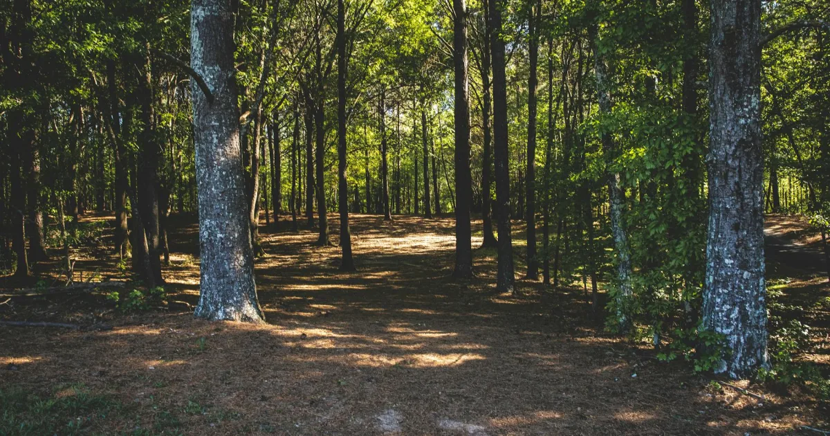 Downtown Oakdale Woods, GA, GA