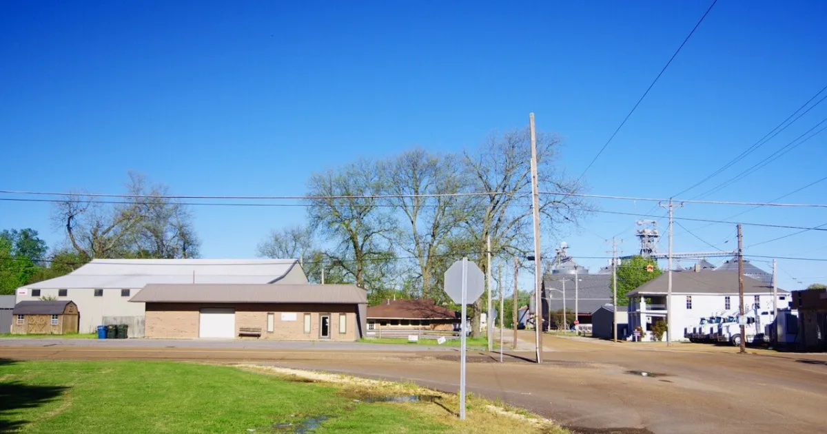 Downtown Obion, TN, TN