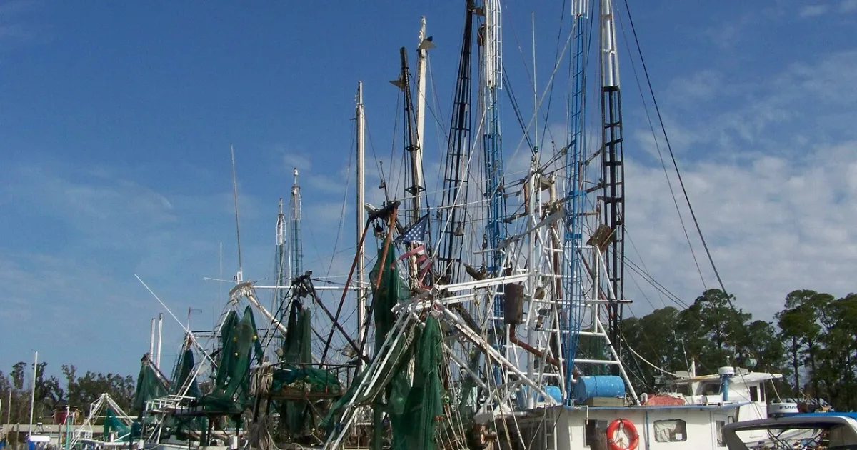 Downtown Ocean Springs, MS, MS