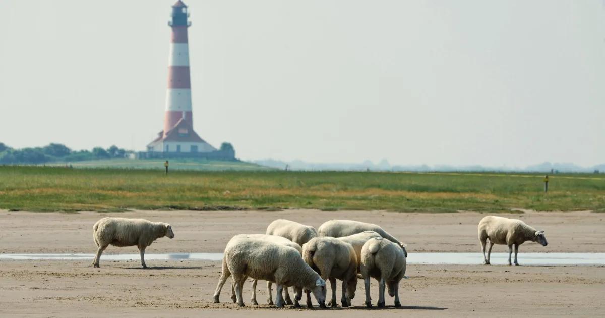 Downtown Oelwein, IA, IA
