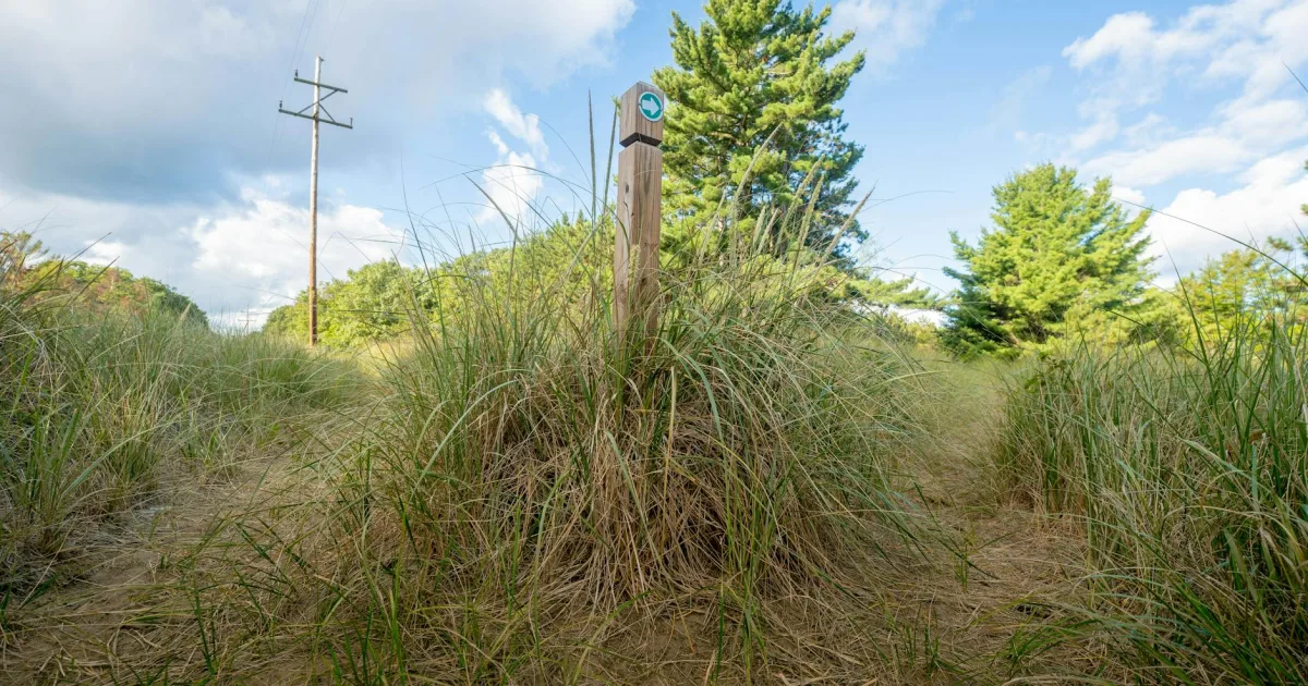 Downtown Ogden Dunes, IN, IN