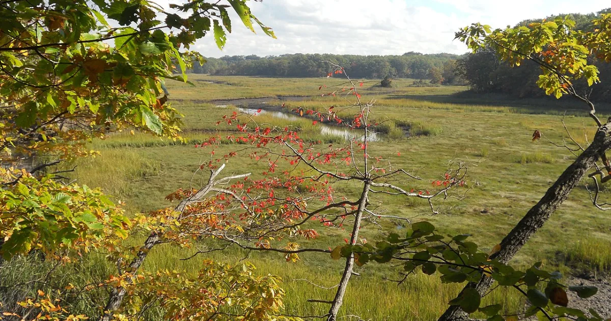 township in Middlesex County, New Jersey, United States