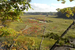 township in Middlesex County, New Jersey, United States