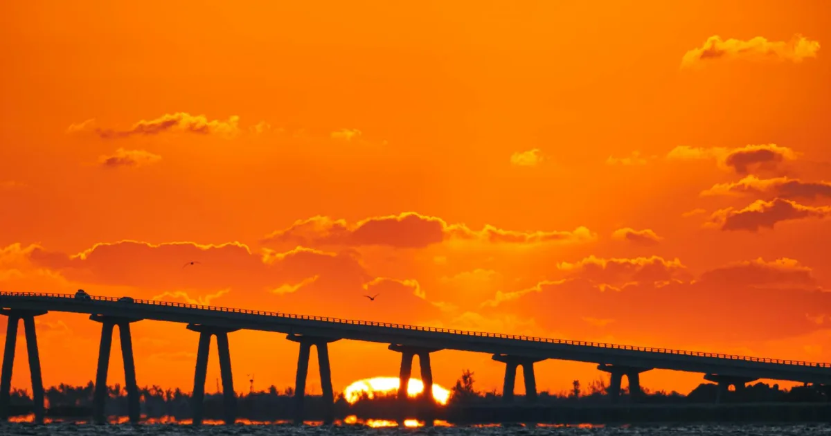 Downtown Oldsmar, FL, FL