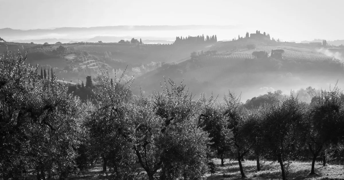Downtown Olive Hill, KY, KY