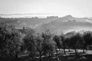 Downtown Olive Hill, KY, KY