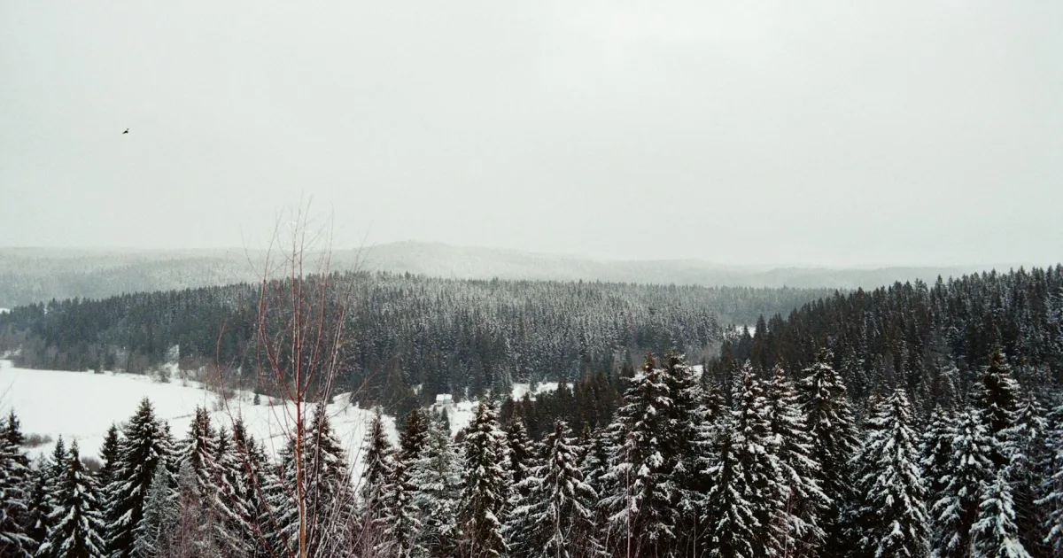 Downtown Olmsted, OH, OH