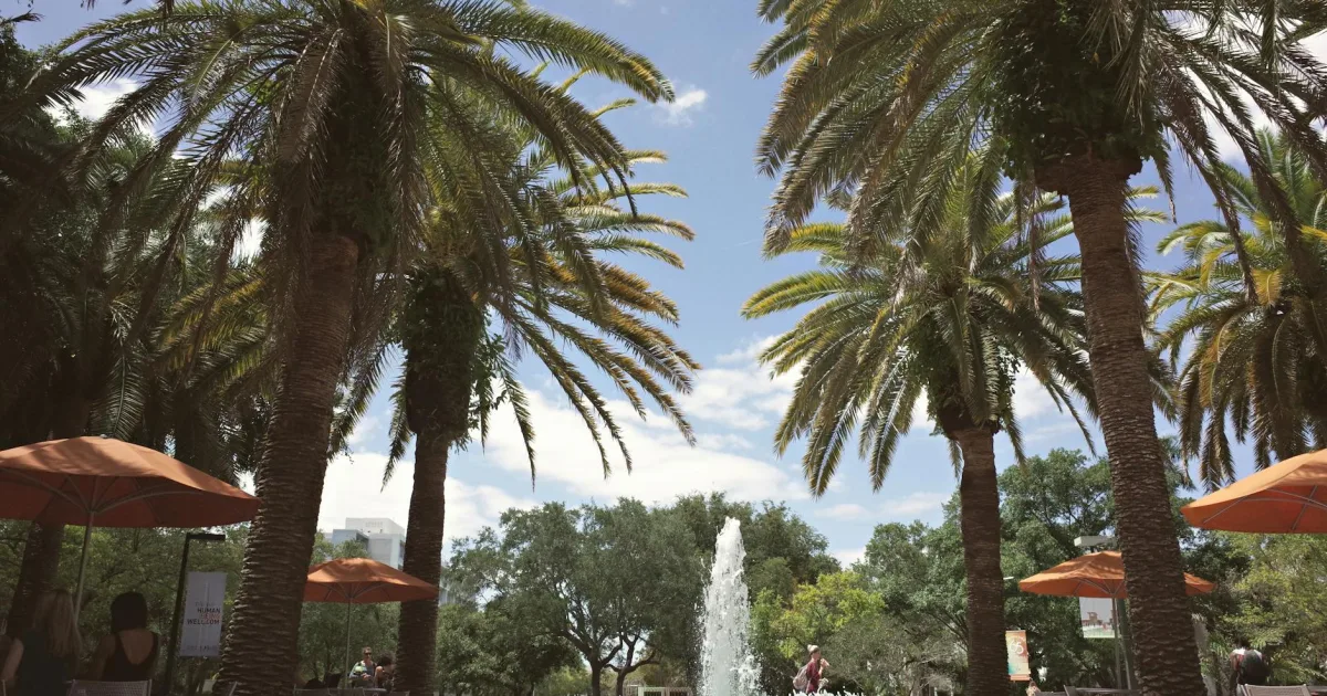 Downtown Orange Park, FL, FL