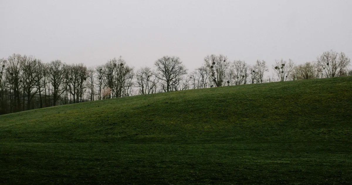 Downtown Orchard Grass Hills, KY, KY