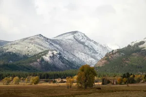 Downtown Orchard Homes, MT, MT