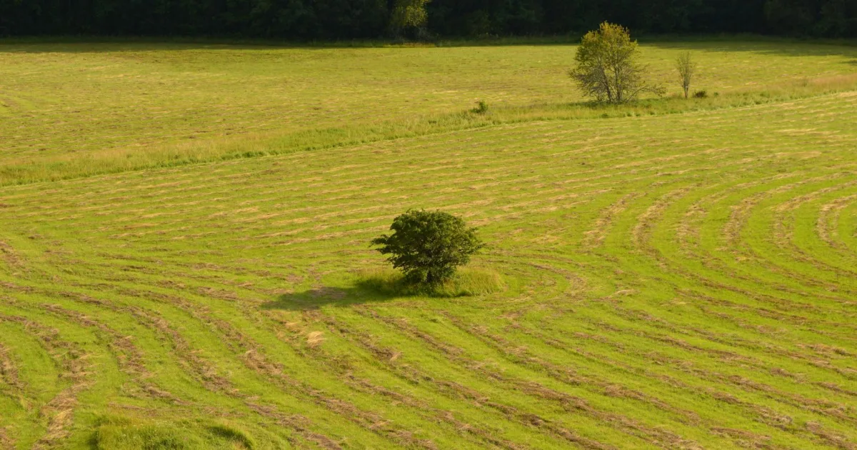 Downtown Orleans County, VT, VT